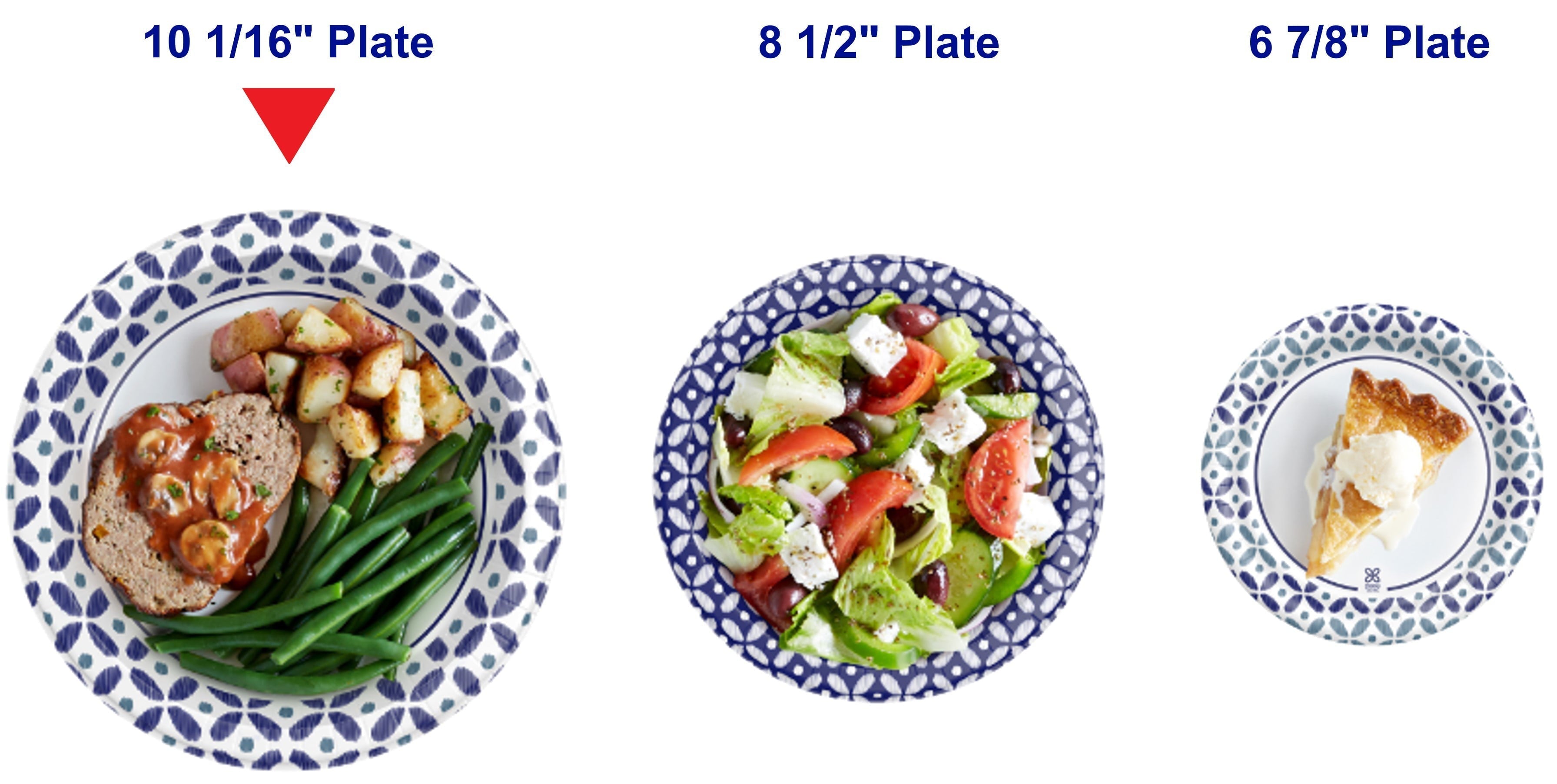Dixie Ultra Disposable Paper Plates, Multicolor, 10 in, 100 Count - Dixie - Nimbus Distributors - wholesale and distributors in United States Dixie Ultra Disposable Paper Plates, Multicolor, 10 in, 100 Count - Dixie - Nimbus Distributors - wholesale and distributors in United States